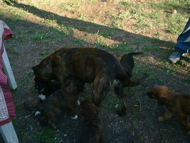 DSCF0060.JPG