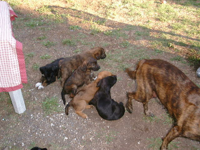 DSCF0061.JPG