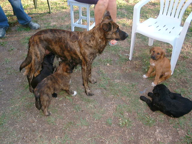 DSCF0062.JPG