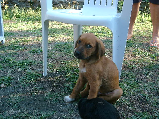 DSCF0063.JPG