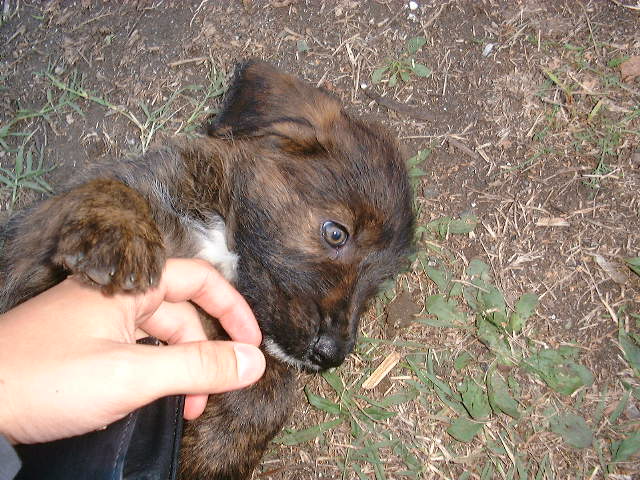 DSCF0065.JPG