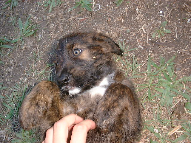 DSCF0067.JPG