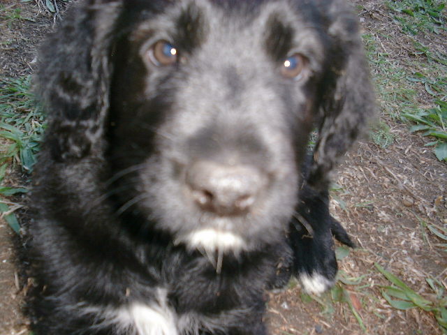 DSCF0068.JPG