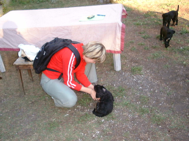 DSCF0069.JPG