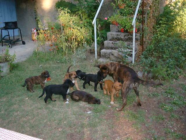 DSCF0071.JPG