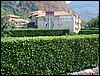 DSCF0043.JPG