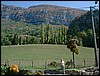 DSCF0046.JPG