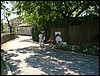 DSCF0050.JPG