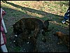 DSCF0060.JPG