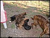 DSCF0061.JPG
