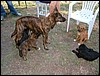 DSCF0062.JPG