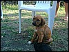 DSCF0063.JPG