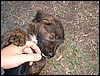 DSCF0065.JPG