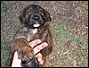 DSCF0066.JPG