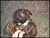 DSCF0067.JPG