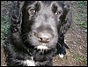 DSCF0068.JPG