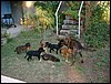 DSCF0071.JPG